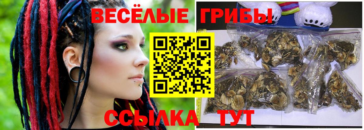 Жуковский  купить   Вход с VPN  Галлюциногенные грибы Cubensis 